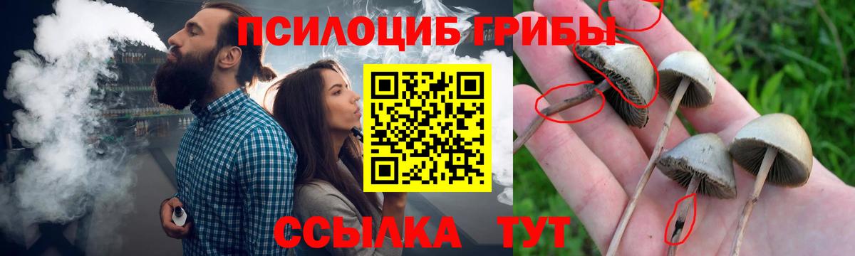 Псилоцибиновые грибы прущие грибы  Вход с VPN  Избербаш 
